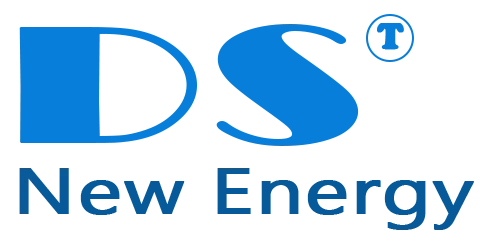 DS  Nuevo  Energía